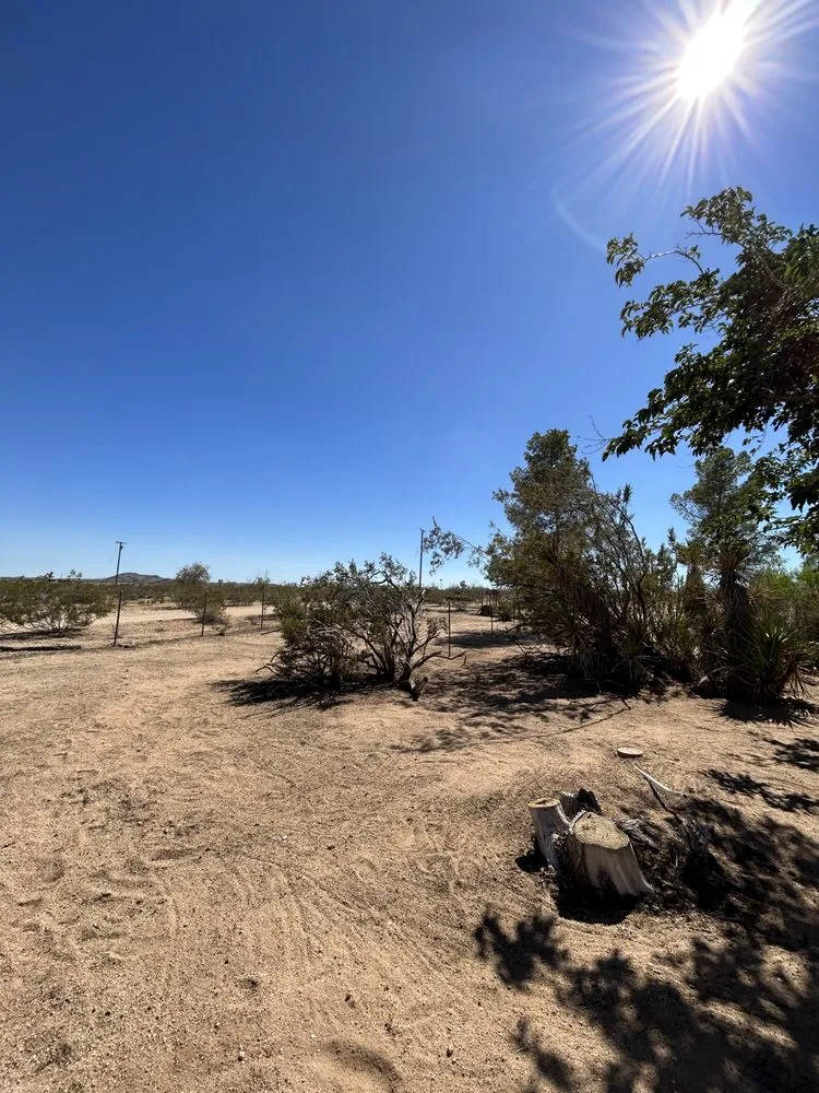 Professional landscape installation experts serving Joshua Tree, CA - Mojave Landscaping