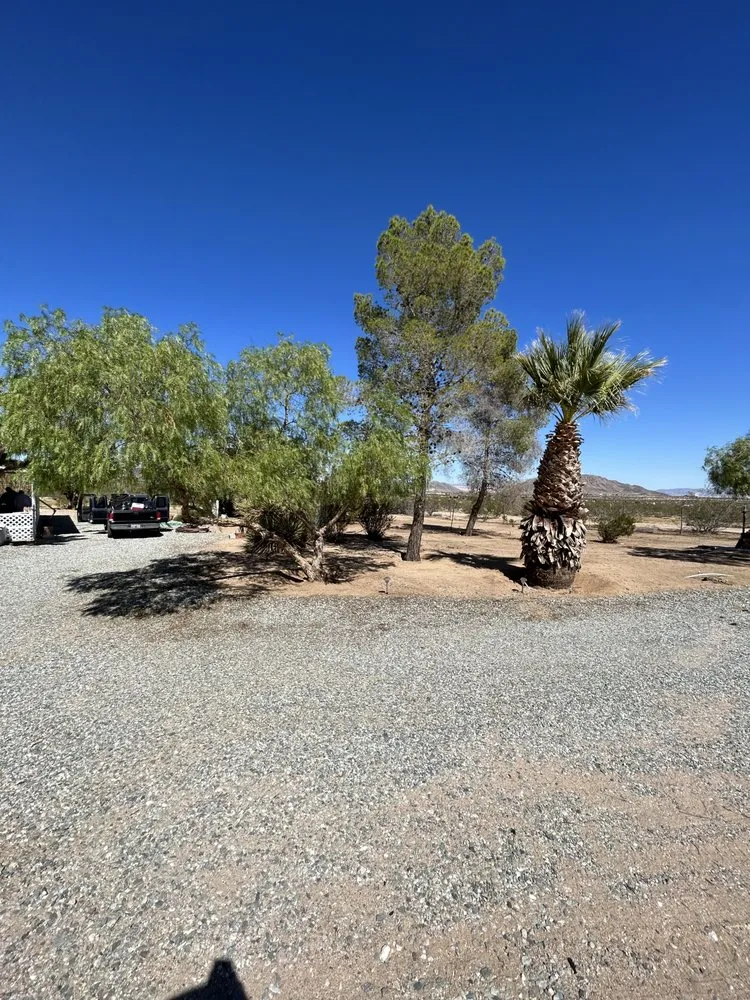 Affordable landscaping services for year-round maintenance across Joshua Tree, CA - Mojave Landscaping
