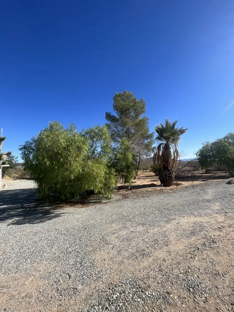 Trusted yard maintenance in Joshua Tree, CA - Mojave Landscaping