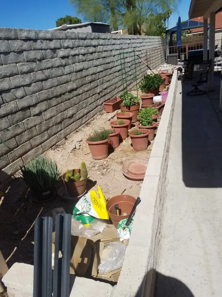 Trusted landscaping services for residential properties in Overton, NV by Mojave Landscaping