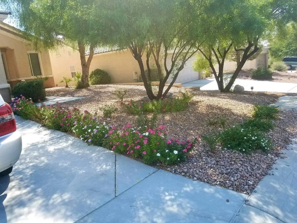 Expert landscape design near you across Overton, NV - Mojave Landscaping