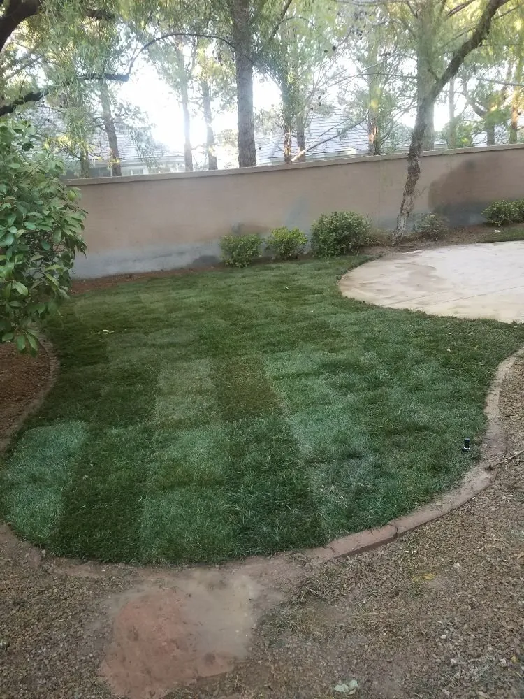 Affordable landscape design experts serving Overton, NV - Mojave Landscaping
