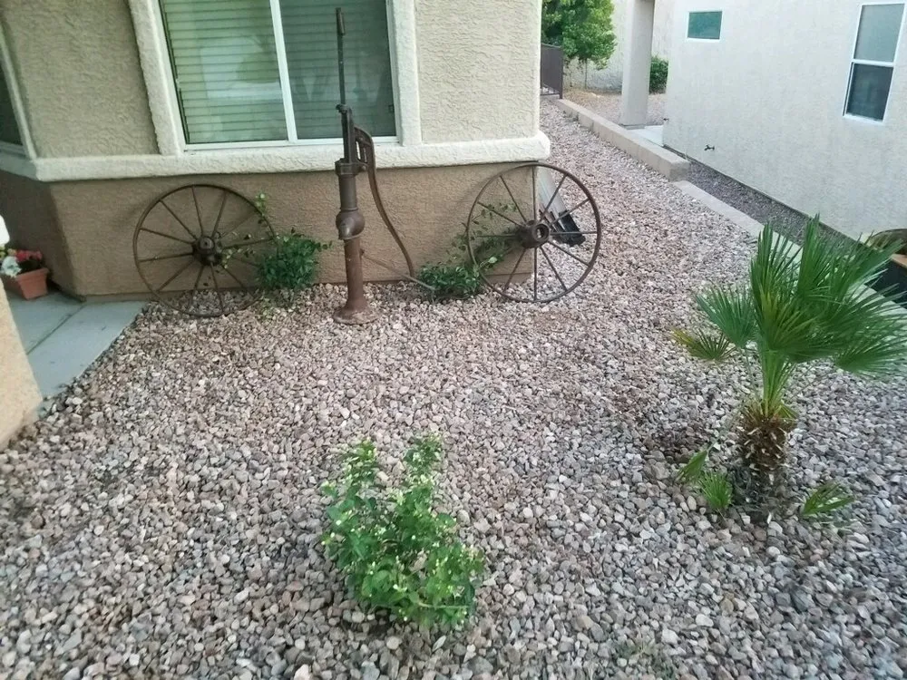 Trusted lawn care service in Overton, NV by Mojave Landscaping