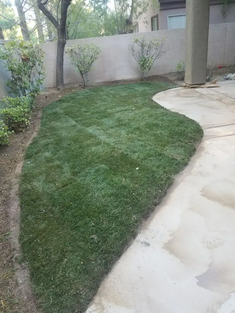 Affordable lawn care service with custom design in Overton, NV by Mojave Landscaping