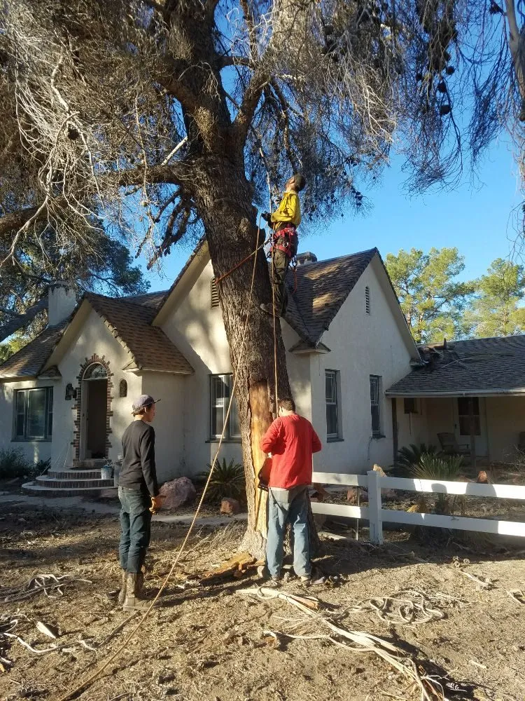 Custom landscape design for homes across Overton, NV - Mojave Landscaping
