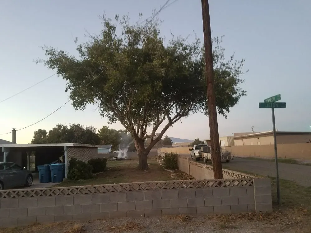 Affordable landscape design in Overton, NV - Mojave Landscaping