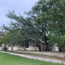 Trusted landscaping services for residential properties across Kerrville, TX - Mojica Tree Service