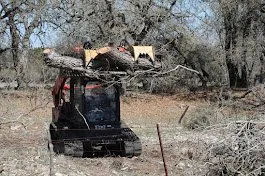 Mojica Tree Service Logo