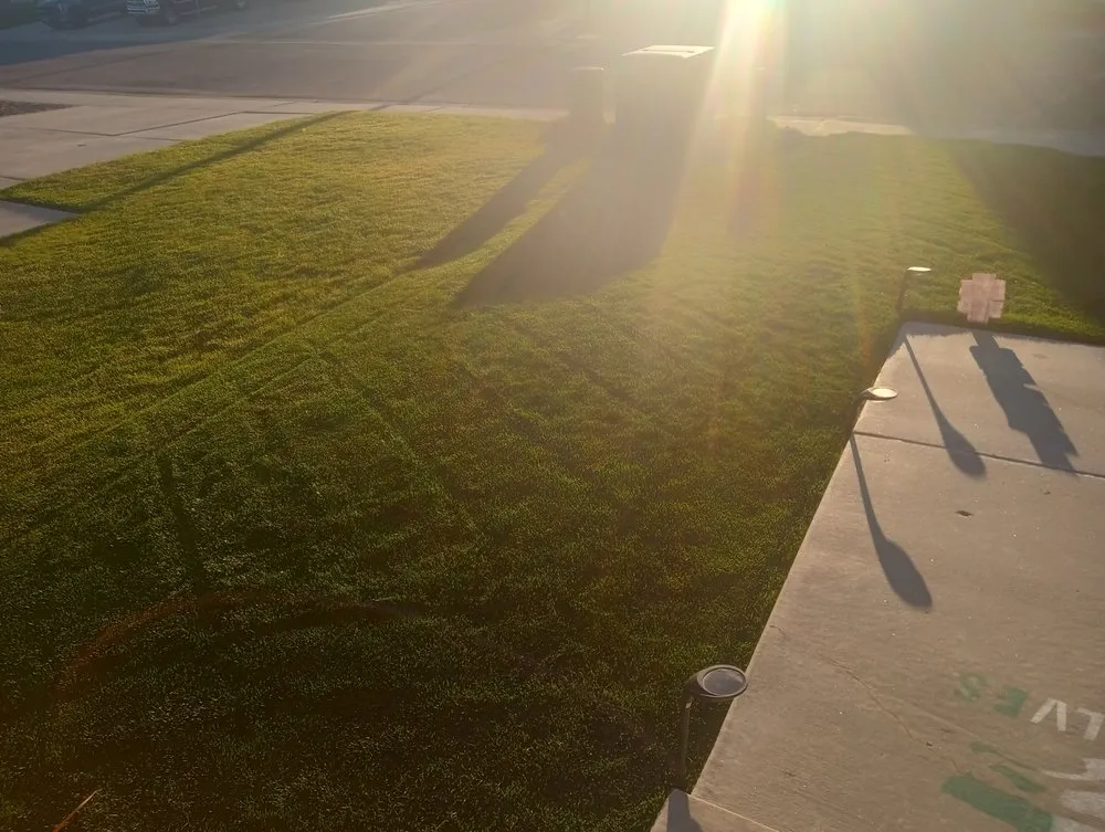 Custom landscape installation for outdoor upgrades across Rock Springs, WY - Mojo Turf