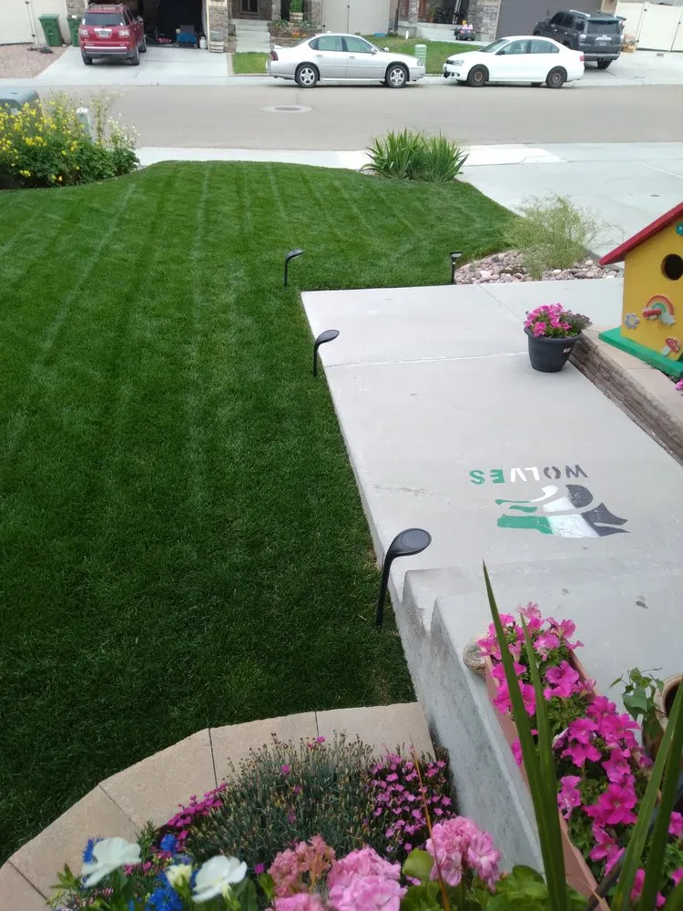 Professional lawn care service in Rock Springs, WY - Mojo Turf