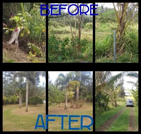Reliable residential landscaping in Hilo, HI - Moku Nui Yard Service