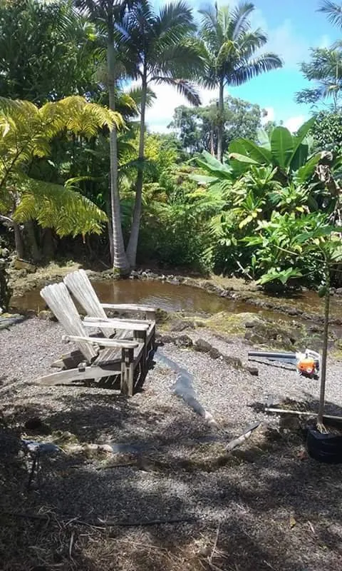 Affordable yard maintenance in Hilo, HI by Moku Nui Yard Service