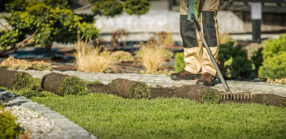 Top-rated garden landscaping in Hagerstown, MD by Moler Stump Grinding and Landscaping