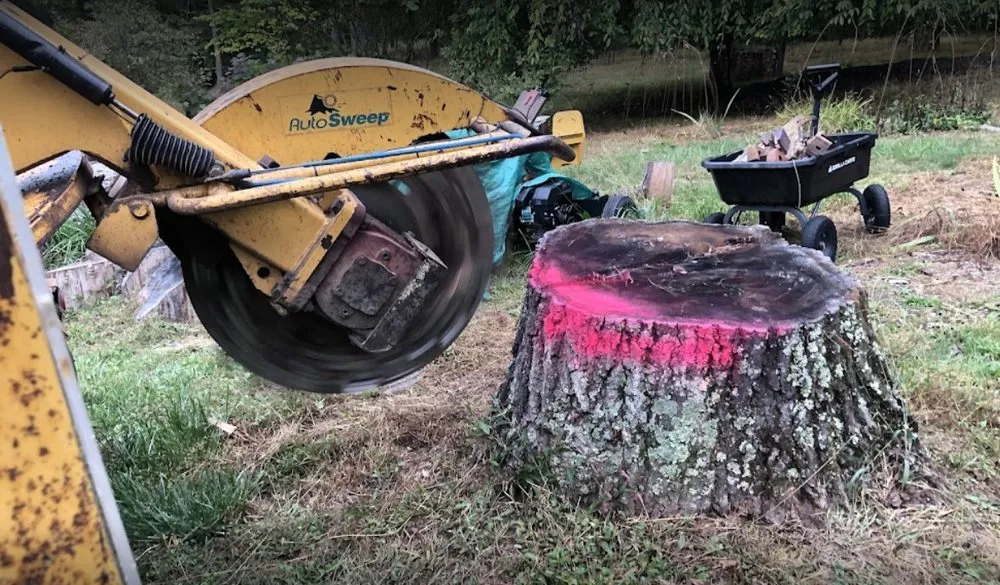 Custom garden landscaping near you across Hagerstown, MD - Moler Stump Grinding and Landscaping