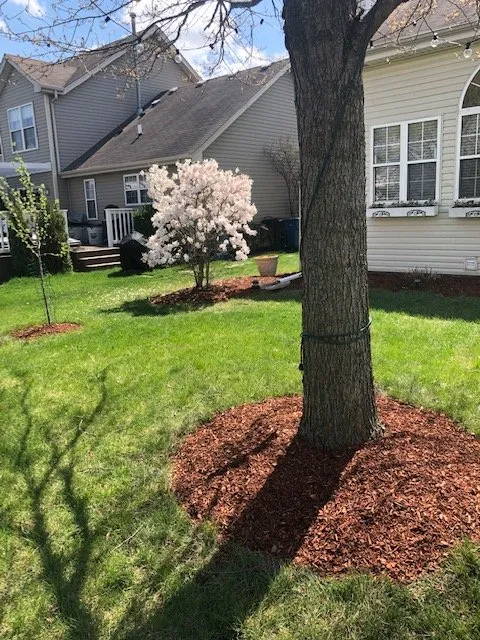 Custom yard maintenance in Monee, IL - Molerik Lawn Care Services