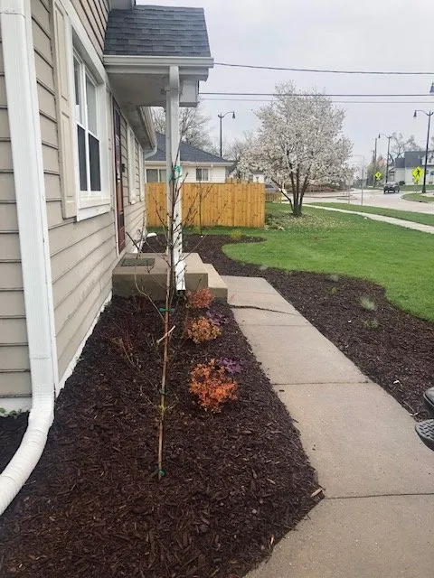 Expert outdoor landscaping in Monee, IL by Molerik Lawn Care Services