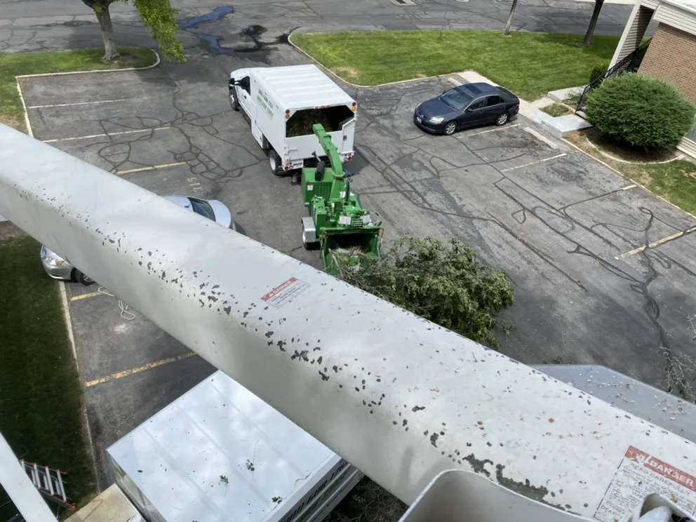 Affordable residential landscaping in South Jordan, UT by Moliga Tree Specialists & Landscaping