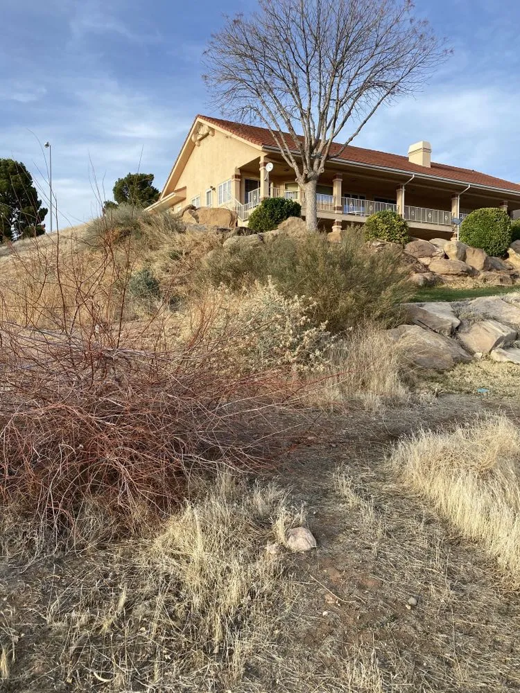 Local landscaping services for year-round maintenance in South Jordan, UT by Moliga Tree Specialists & Landscaping