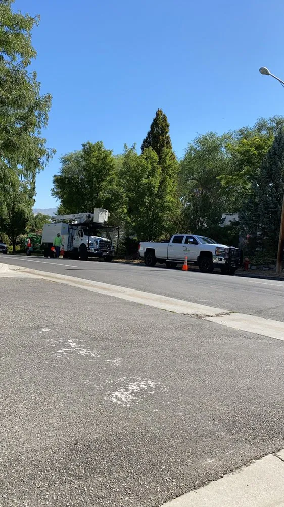 Top-rated lawn mowing service experts serving South Jordan, UT - Moliga Tree Specialists & Landscaping