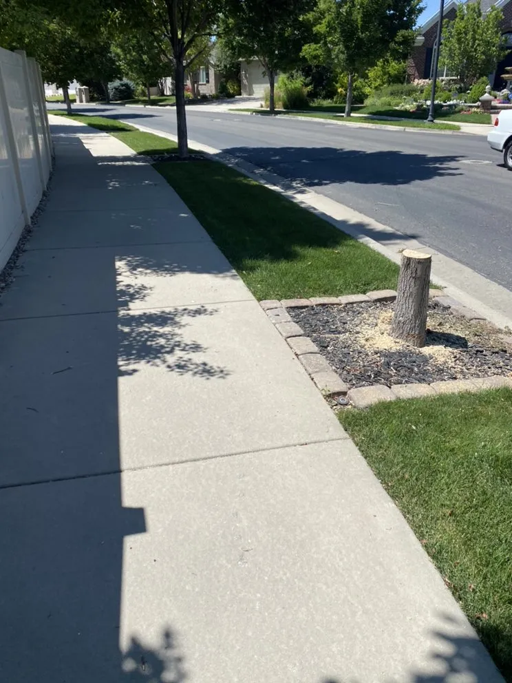 Top-rated yard maintenance for outdoor upgrades across South Jordan, UT - Moliga Tree Specialists & Landscaping