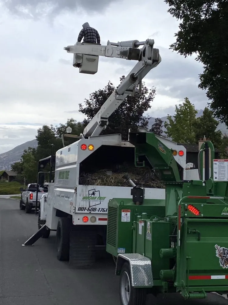 Top-rated landscape design near you in South Jordan, UT by Moliga Tree Specialists & Landscaping