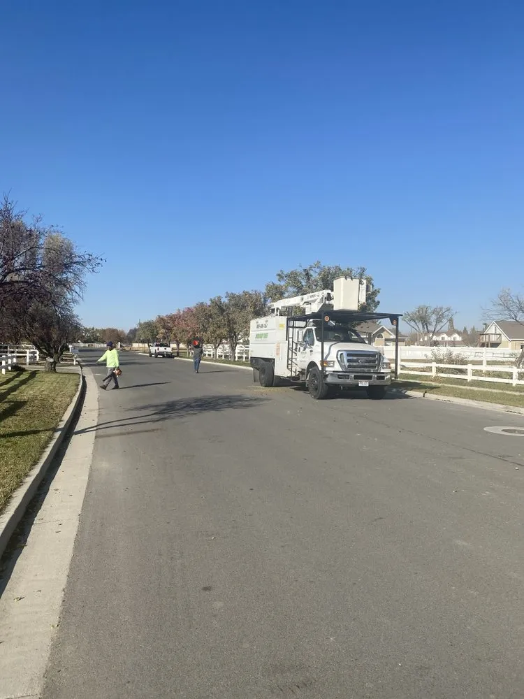 Trusted landscape installation near you across South Jordan, UT - Moliga Tree Specialists & Landscaping