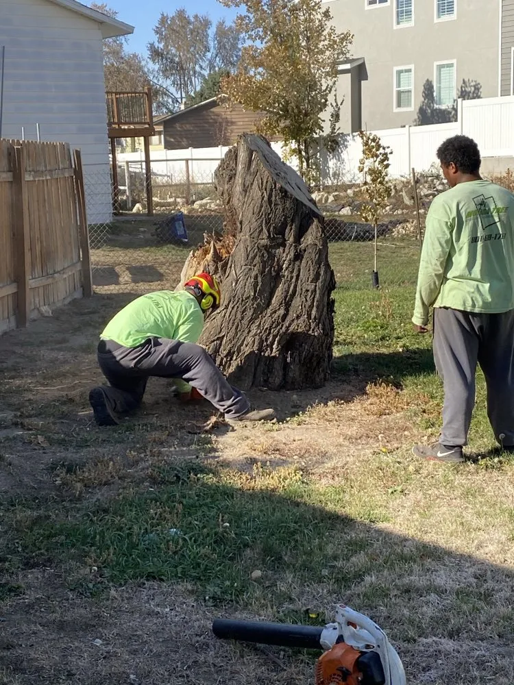 Custom yard cleanup service in South Jordan, UT - Moliga Tree Specialists & Landscaping
