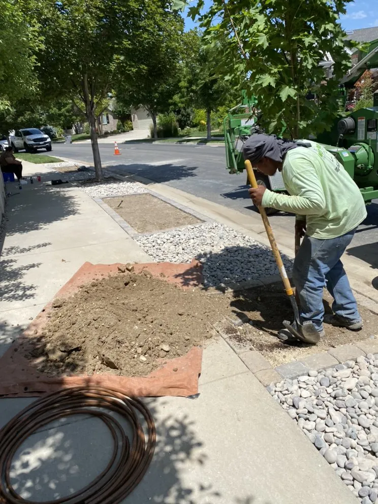 Custom yard maintenance experts serving South Jordan, UT - Moliga Tree Specialists & Landscaping