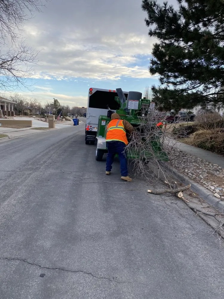 Top-rated landscaping services in South Jordan, UT - Moliga Tree Specialists & Landscaping