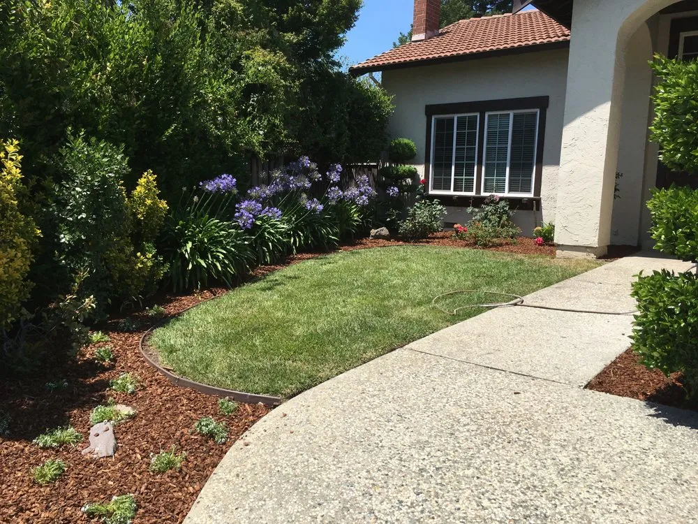 Affordable garden landscaping experts serving San Mateo, CA - Molina Gardens