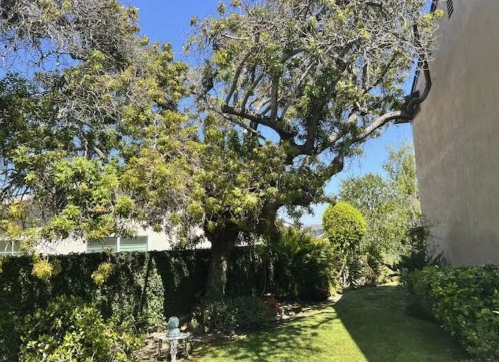 Custom residential landscaping for outdoor upgrades across Gardena, CA - Molina Landscape