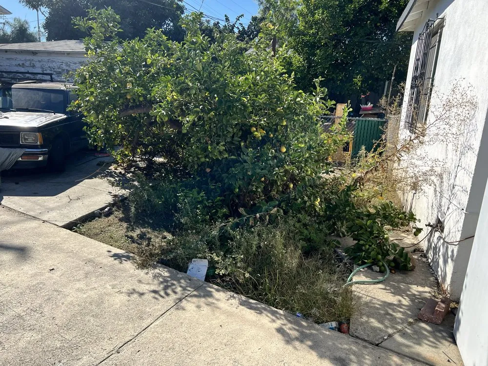 Reliable outdoor landscaping in Gardena, CA by Molina Landscape