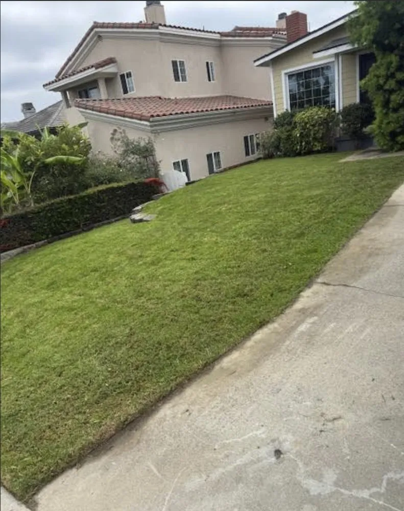 Reliable yard cleanup service with custom design across Gardena, CA - Molina Landscape