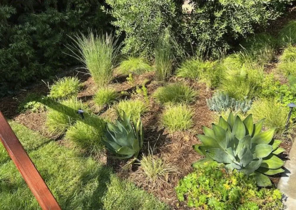 Affordable garden landscaping for year-round maintenance in Gardena, CA by Molina Landscape
