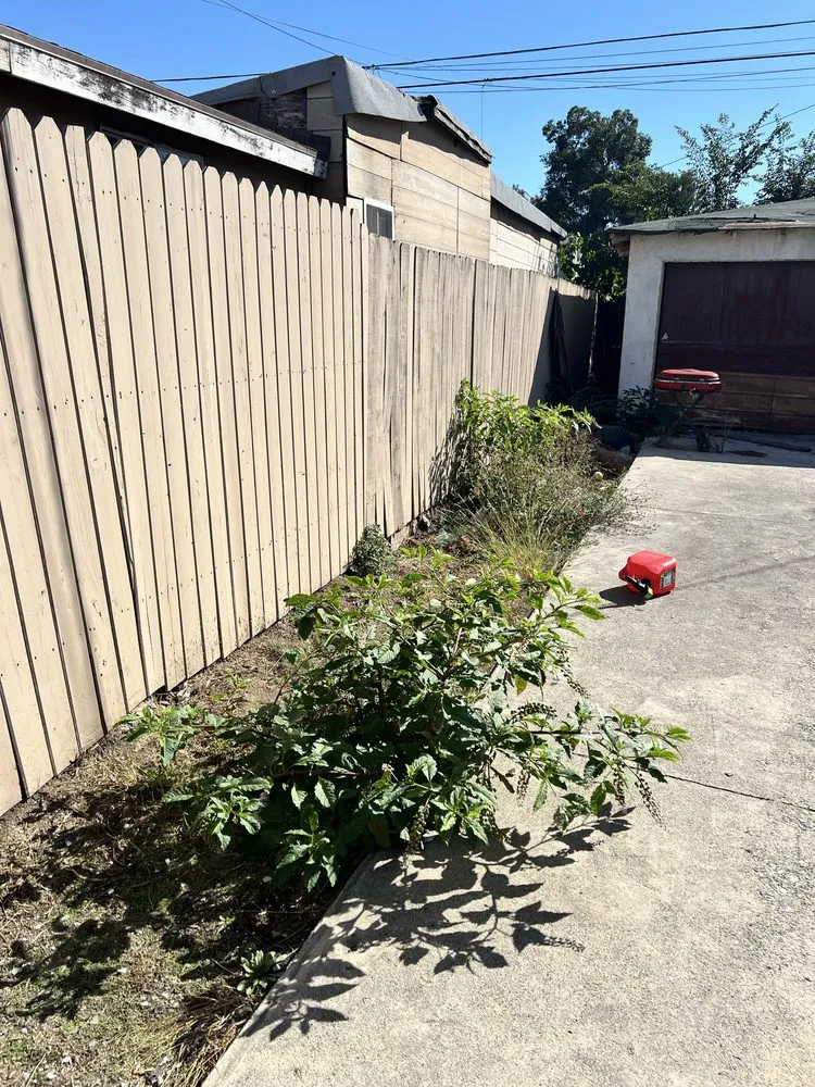 Affordable outdoor landscaping with custom design across Gardena, CA - Molina Landscape