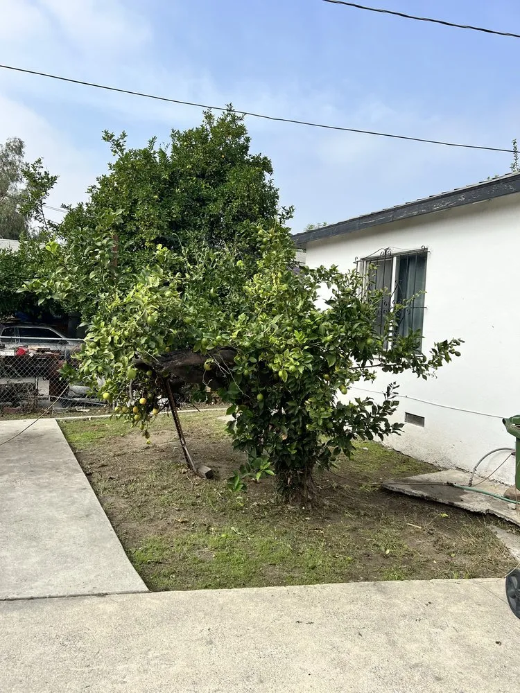 Professional landscaping services experts serving Gardena, CA - Molina Landscape