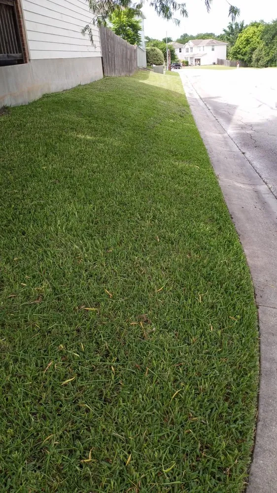 Trusted garden landscaping experts serving Austin, TX - Molina Landscaping