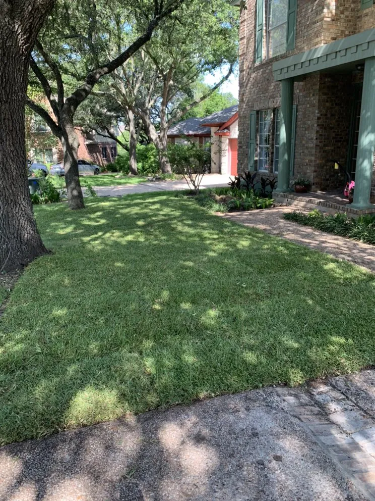 Affordable lawn care service experts serving Austin, TX - Molina Landscaping
