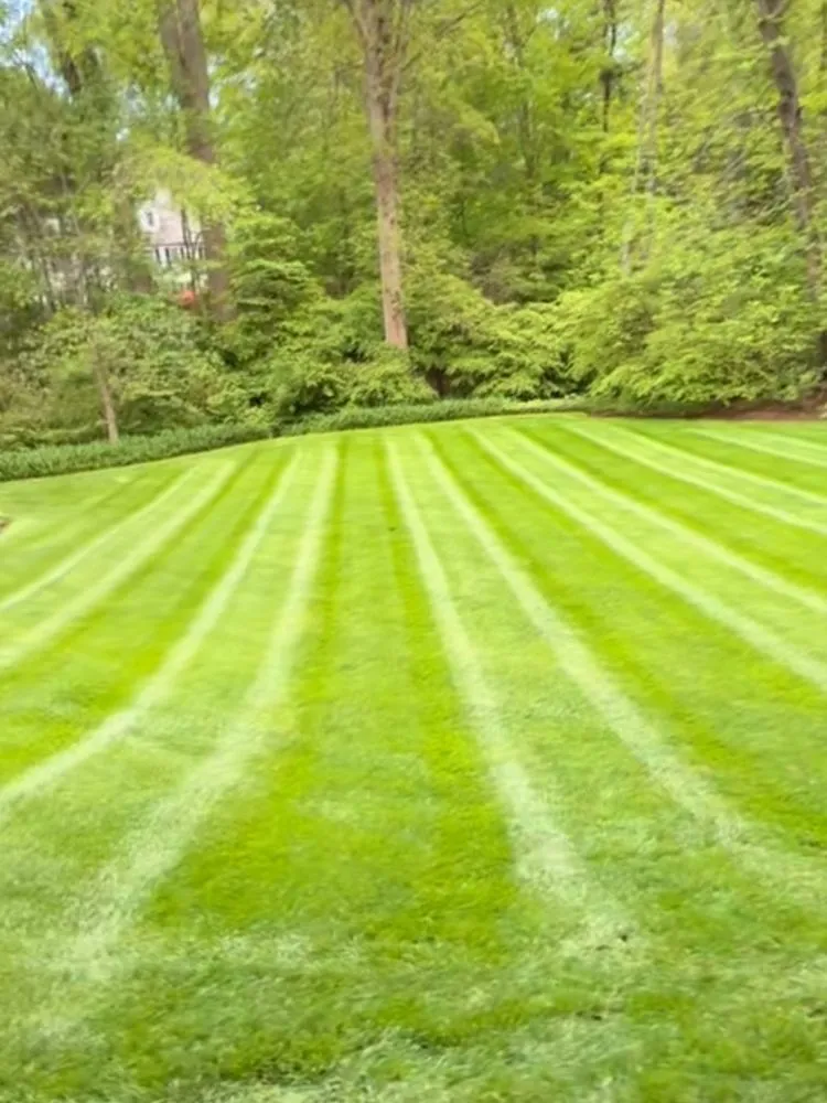 Professional landscape installation in East Hampton, NY by Molina Landscaping