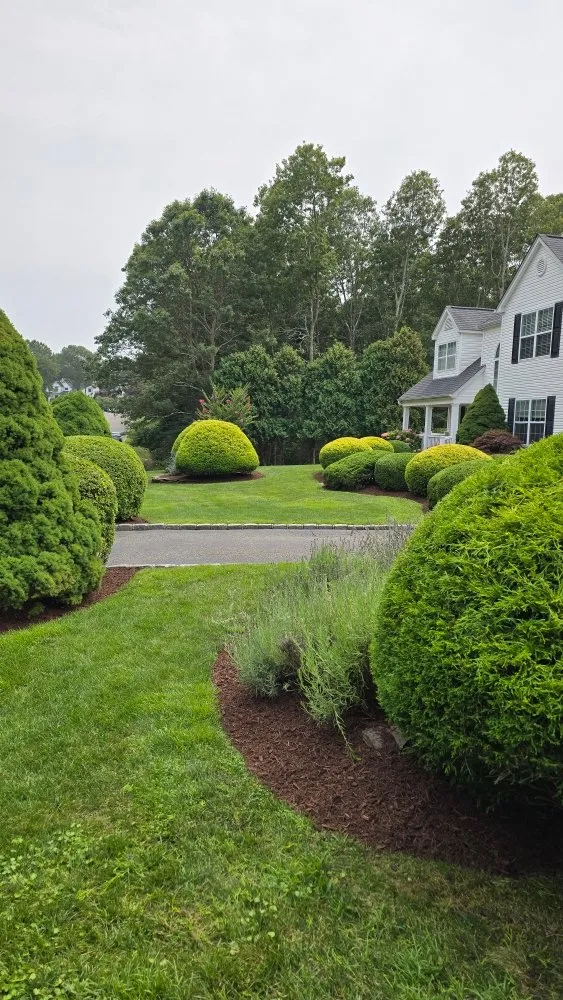 Affordable landscape installation for homes across East Hampton, NY - Molina Landscaping