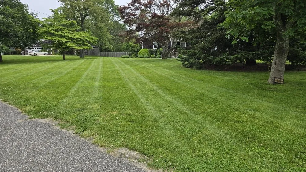 Top-rated yard maintenance near you in East Hampton, NY by Molina Landscaping