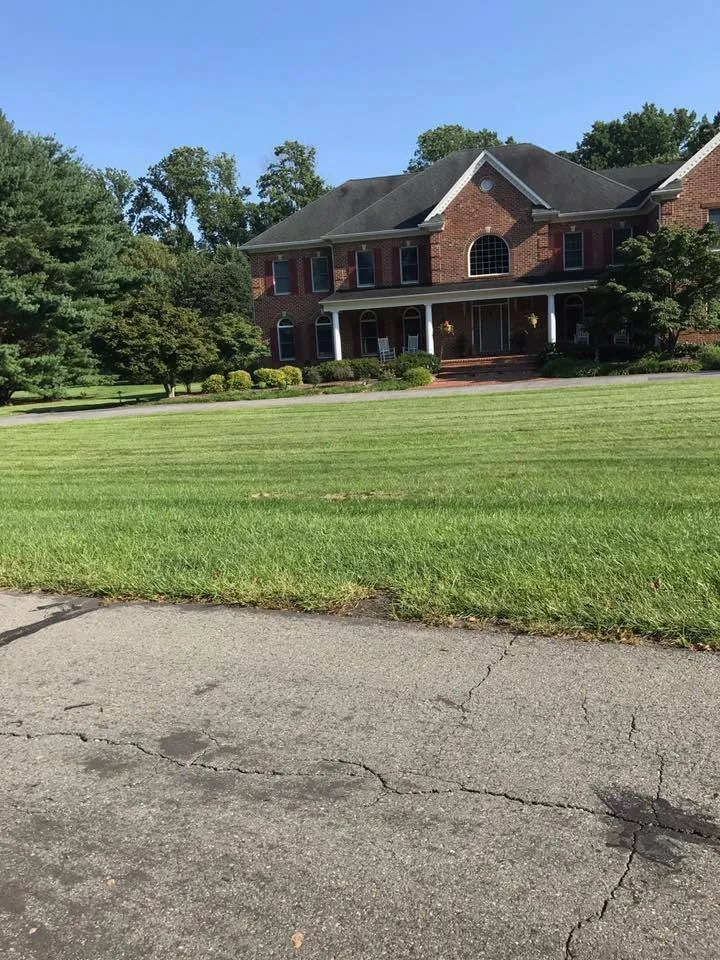 Local yard maintenance experts serving Lanham, MD - Molina Landscaping