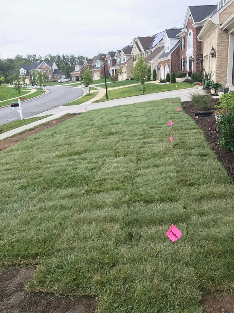 Professional landscaping services in Lanham, MD by Molina Landscaping