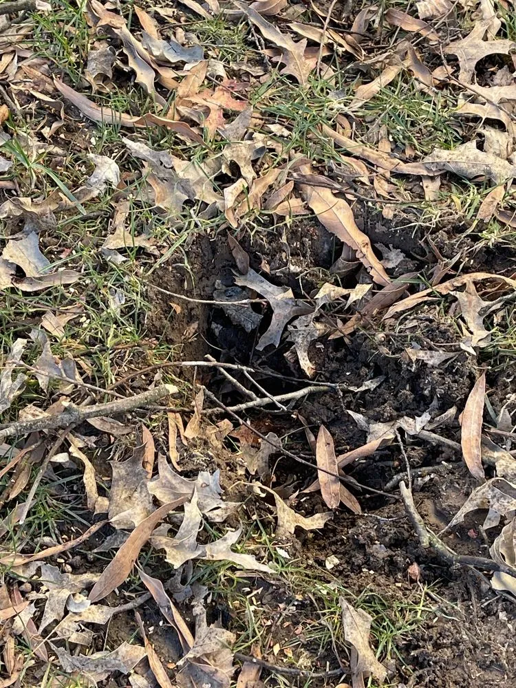 Professional lawn care service for outdoor upgrades across Lanham, MD - Molina Landscaping