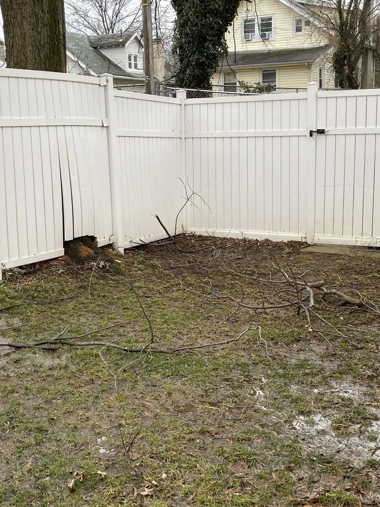 Local landscape installation in Lanham, MD - Molina Landscaping