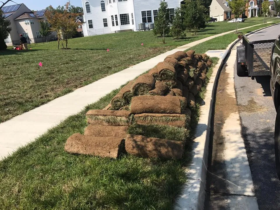 Custom garden landscaping experts serving Lanham, MD - Molina Landscaping