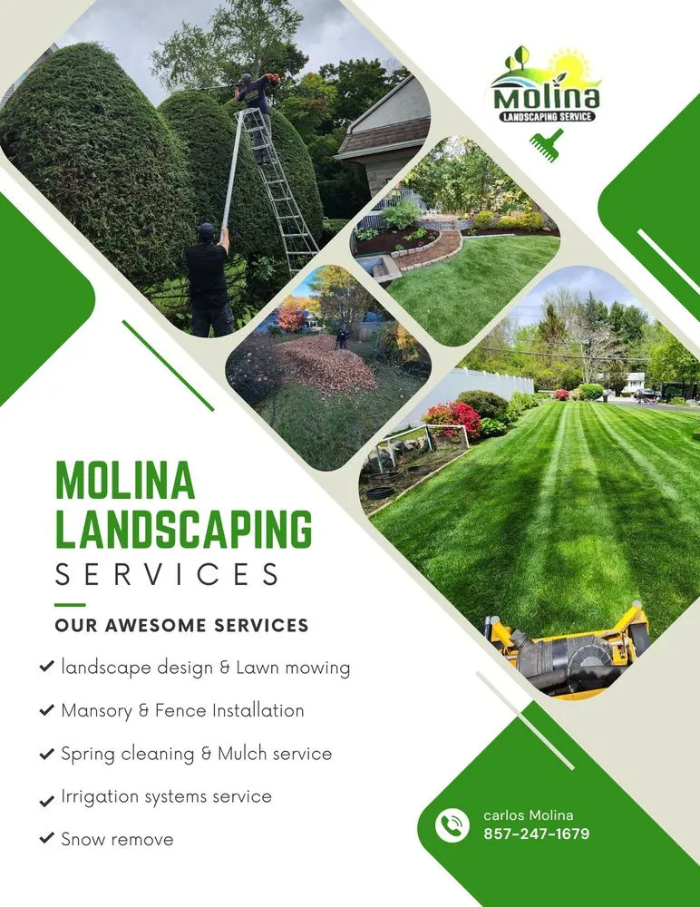 Trusted yard cleanup service for residential properties across Waltham, MA - Molina Landscaping Service