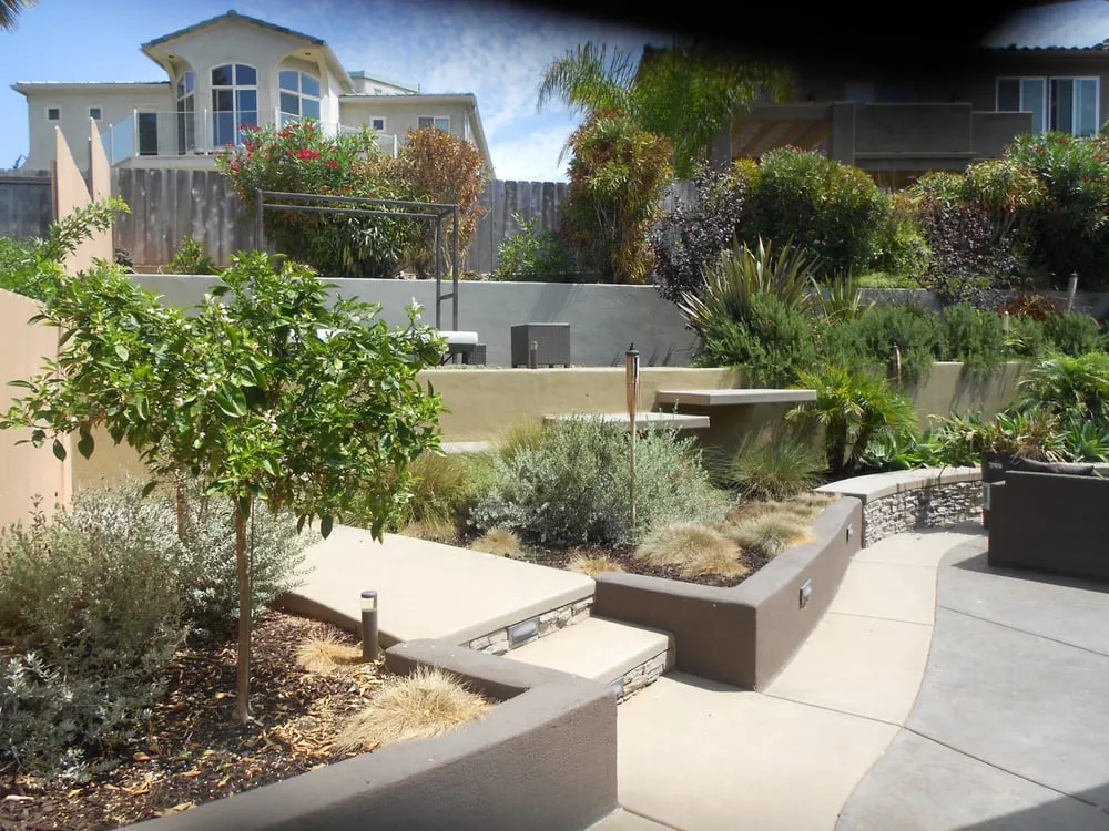 Trusted yard cleanup service in Oceanside, CA by Molina's Exterior