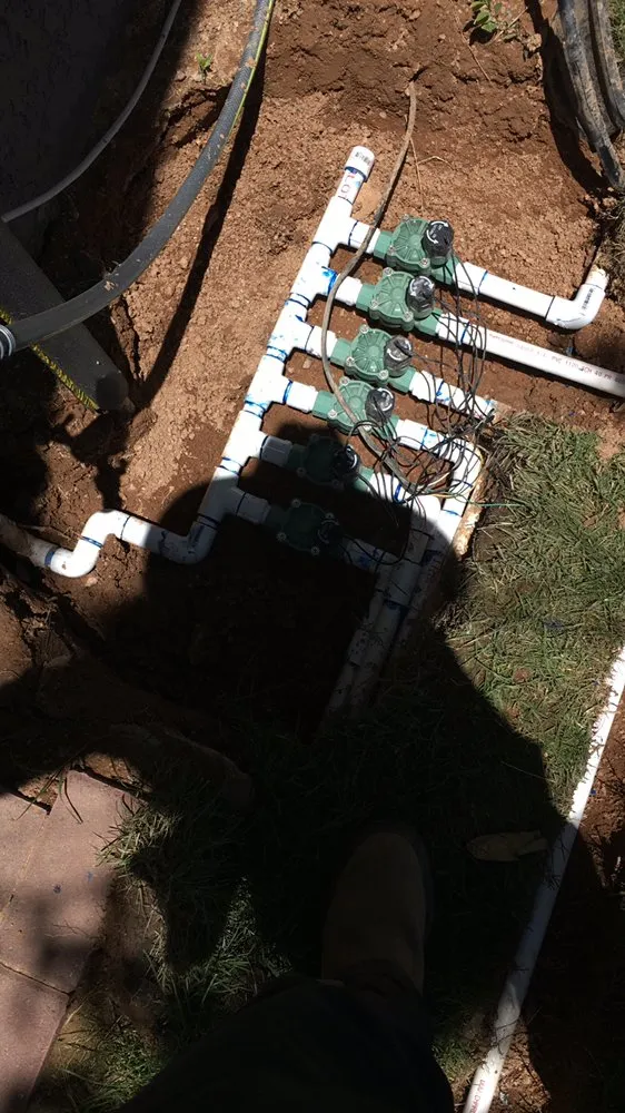 Expert yard cleanup service experts serving Tucson, AZ - Molina’s Landscape & more