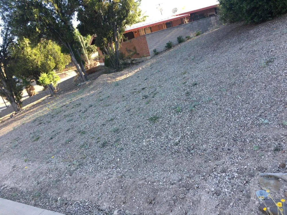 Trusted lawn care service in Tucson, AZ - Molina’s Landscape & more
